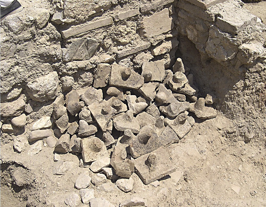 Tegulae Mammatae.
